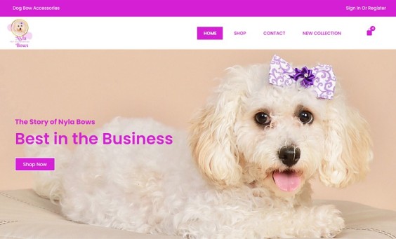 Web Design Portfolio 57 Ontor Web Portfolio Nyla Bows