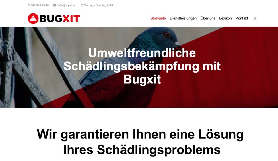 Web Design Portfolio 49