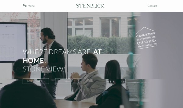 Web Design Portfolio 54 Steinblick 1